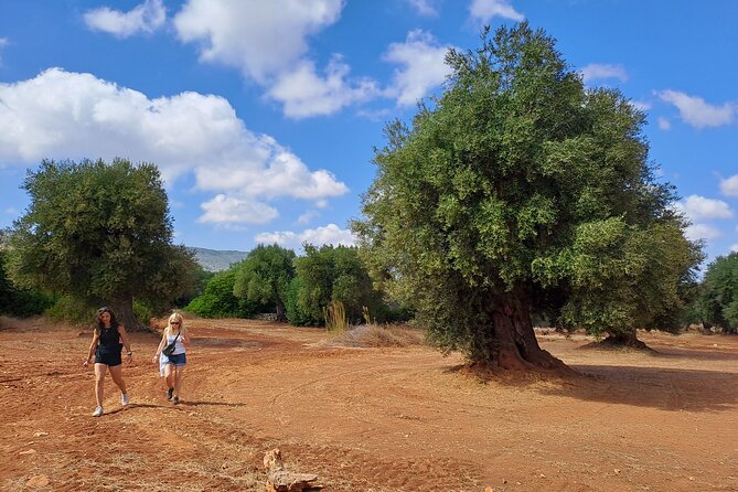 e-bike tour in the plain of the secular olive trees of Ostuni - Meeting Rocco at the Ostuni starting point