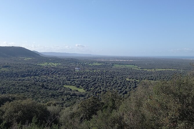 e-bike tour in the plain of the secular olive trees of Ostuni - The walking section and physical demands