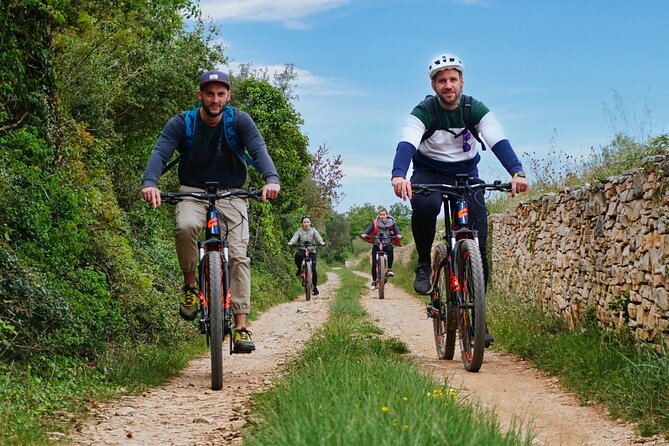 E Bike Tour with wine and olive oil tasting in Vodnjan - St. Fosca Church among old olive trees