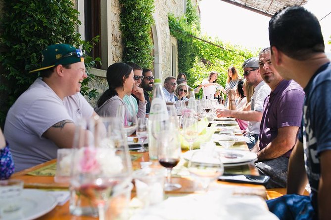 Educational Olive Oil Tasting - Key points to know before booking