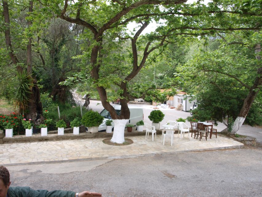 Explore the Secrets of Wine and Olives in Chania - Key points to know before booking