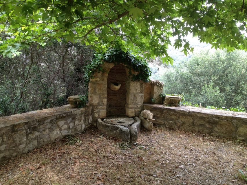Explore the Secrets of Wine and Olives in Chania - Who will enjoy this Crete safari most