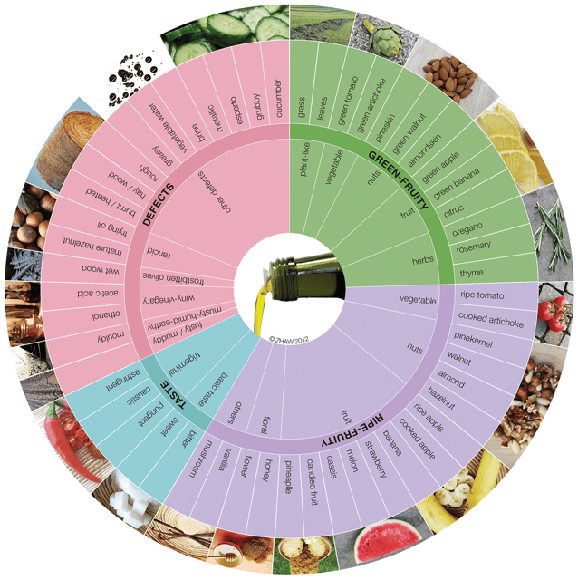 Extra Virgin Olive Oil Experience with Wine & Herbs - Key points at a glance