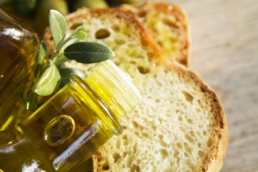 Extra Virgin Olive oil tasting - The tasting room: cool, comfortable, and practical