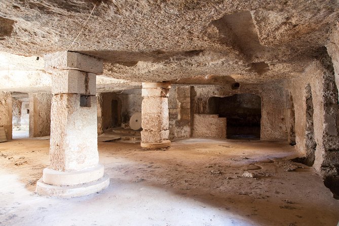 Extra virgin Savoy Tour and olive oil tasting - FASANO - Ancient olive trees and the Puglian setting