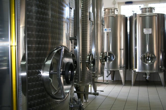Extra virgin Savoy Tour and olive oil tasting - FASANO - Learning to taste extra virgin olive oil