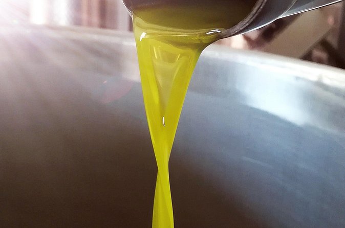 Extra virgin Savoy Tour and olive oil tasting - FASANO - What the $33.64 price buys you