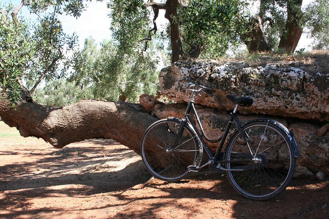 Extra virgin Savoy Tour and olive oil tasting - FASANO - Timing, meeting point, and practical planning