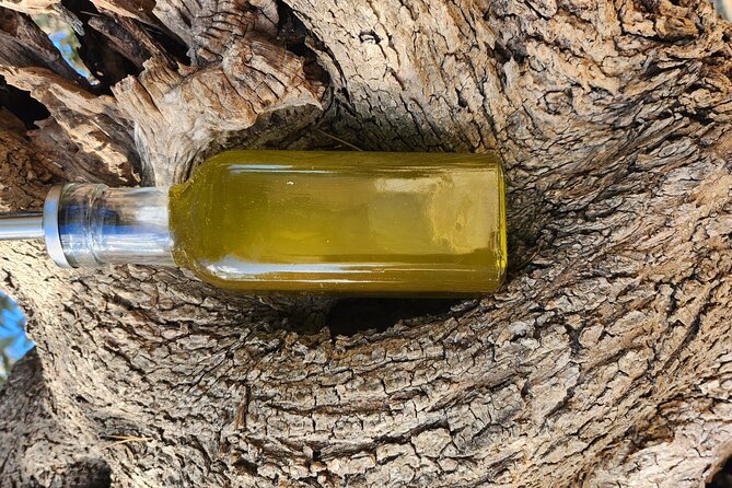 extravirgin olive oil tasting,the story of a farm - What the two-hour schedule means for you