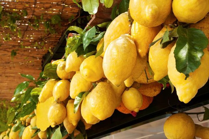 Farm-to-Table Experience: Olive Oil, Garden Tour & Nonna’s Lunch - Who will enjoy this farm visit most?