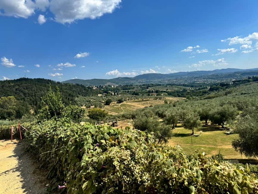Fiesole E-Bike Tour with Olive Oil Tasting or Pool & Chill - Small details that can shape your day