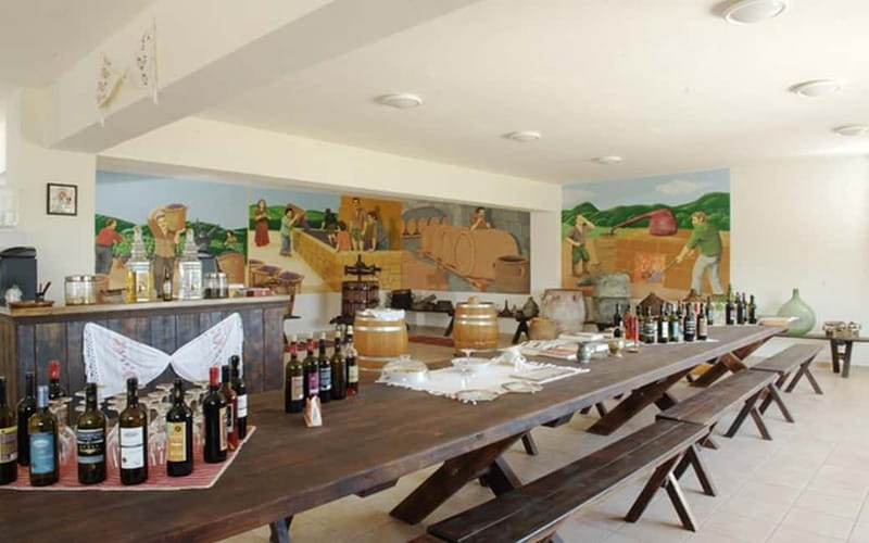 Flavors of Crete from Chania: Wine & Olive Oil Tasting Tour - Olive oil, honey, and the working side of Cretan food