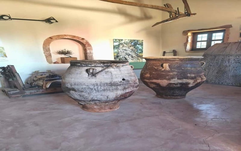 Flavors of Crete from Chania: Wine & Olive Oil Tasting Tour - Who will enjoy this day most