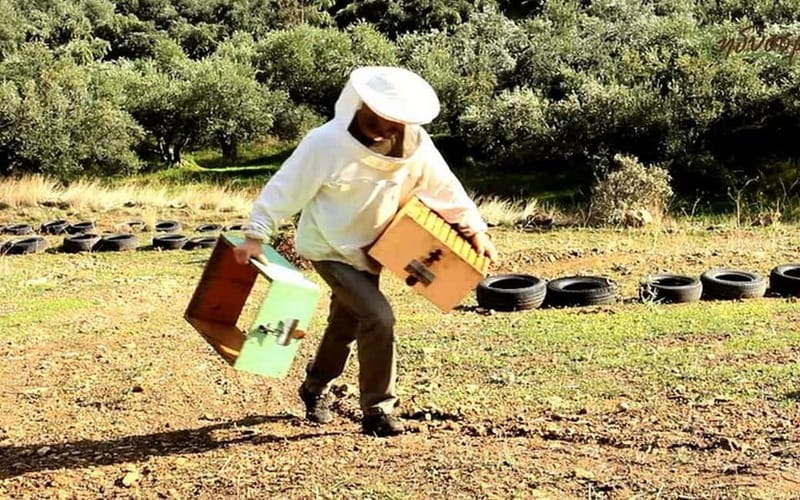 Flavors of Crete from Chania: Wine & Olive Oil Tasting Tour - Morning pickup from Chania and the western resorts