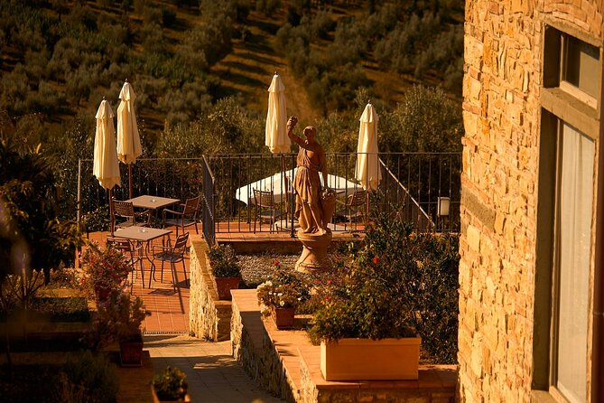 Florence: Great Chianti Wine and Olive Oil Trail with Lunch - Three wineries, three different sides of Chianti