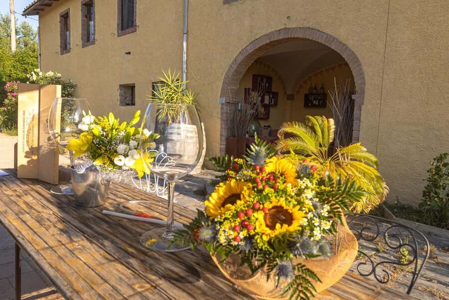Florence: The secret of wine, cheese and olive oil at a farm - A Tuscan lunch built around simple ingredients