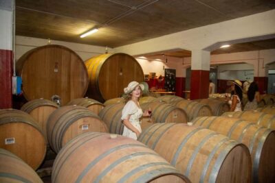 The secret of wine, cheese and olive oil at a farm