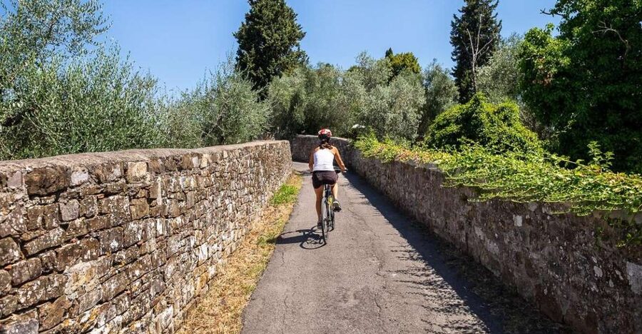 Florence: Tuscany Bike Tour with Wine & Olive Oil - Four hills, frequent stops, and a realistic fitness check