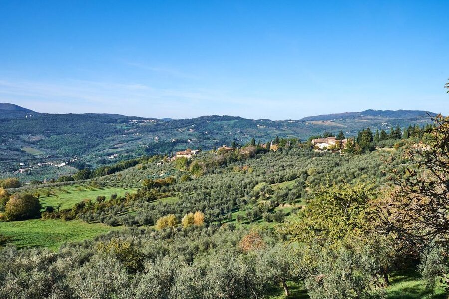 Florence: Vintage Fiat 500 Tour with Wine Tasting at Winery - Should you book it?