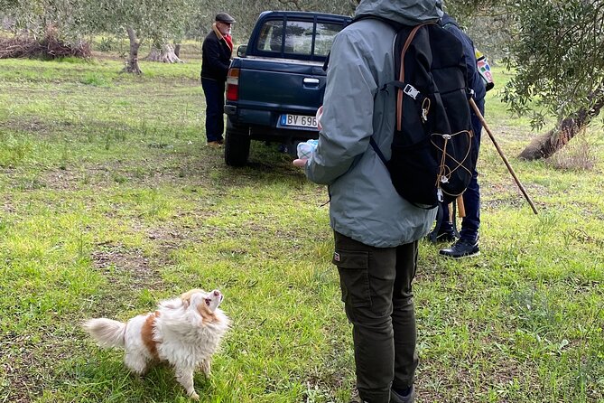 Food and Wine Tour between the Patriarchs Olives and the Oil Temples - Music, stories, and the shared table