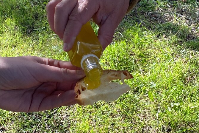 Food and Wine Tour between the Patriarchs Olives and the Oil Temples - What the $50.41 price really covers