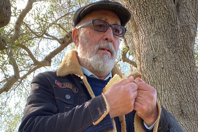 Food and Wine Tour between the Patriarchs Olives and the Oil Temples - Who will enjoy this Matera food outing