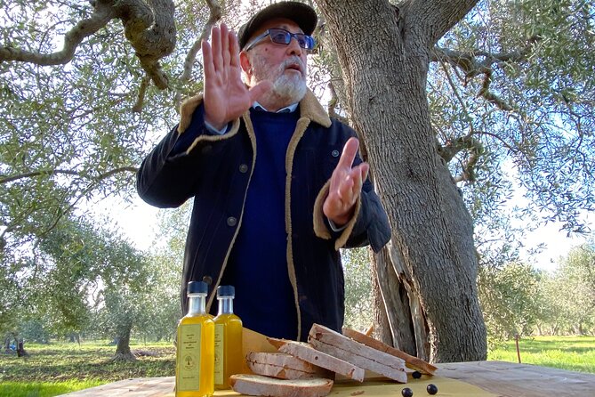 Food and Wine Tour between the Patriarchs Olives and the Oil Temples - Should you book the olive and oil tour?