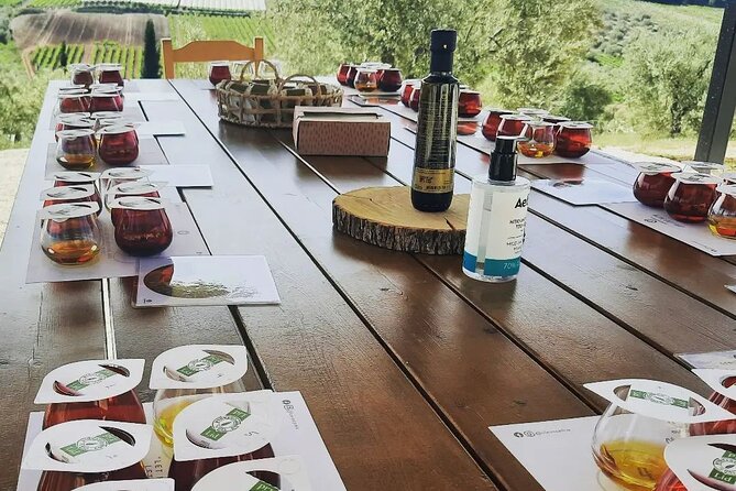 From Athens: Olive Oil Tasting, Olive Grove & Wine Experience - Practical details that affect your decision