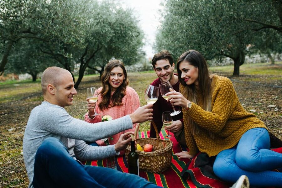 From Biograd: Wine and Olive Oil Tasting in Ražnjevića Dvori - Useful booking details before you go