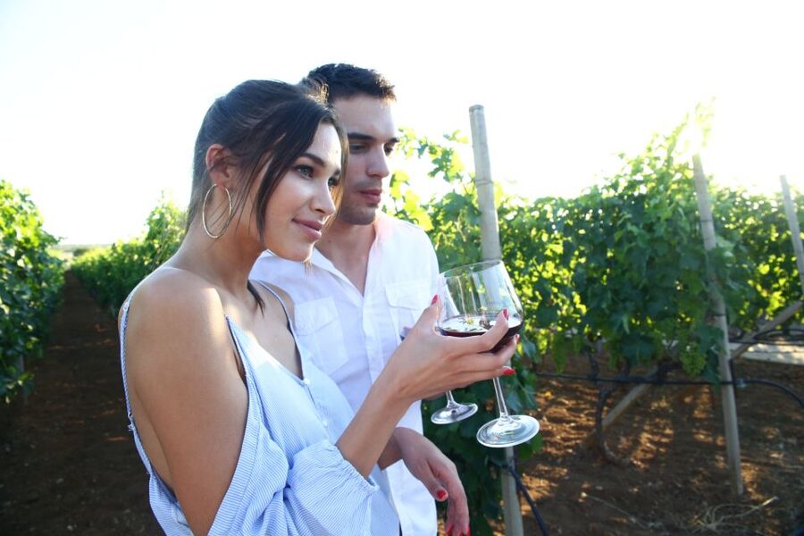 From Biograd: Wine and Olive Oil Tasting in Ražnjevića Dvori - Why Ražnjevića Dvori feels different from a bar tasting