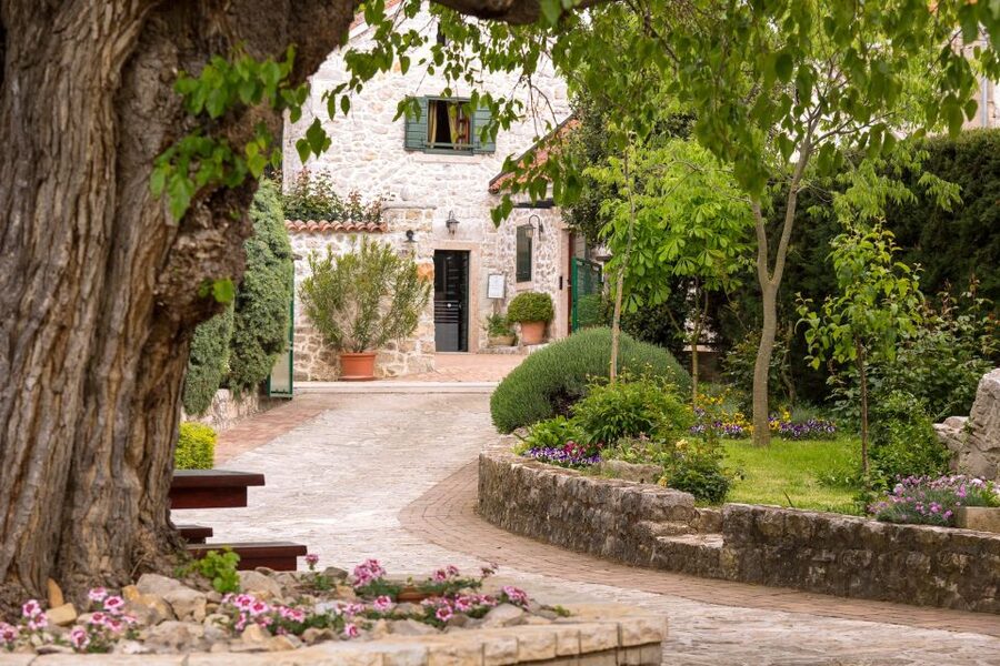 From Biograd: Wine and Olive Oil Tasting in Ražnjevića Dvori - Four wines and the Zinfandel connection