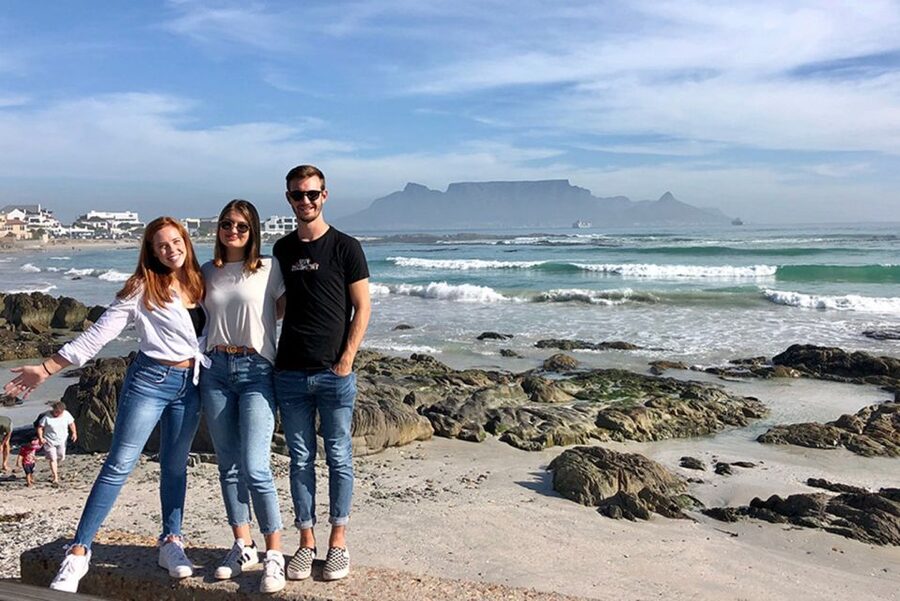 From Cape Town: Wildlife Safari, Olive, Beer & Wine Tasting - Bloubergstrand and the Table Bay finale