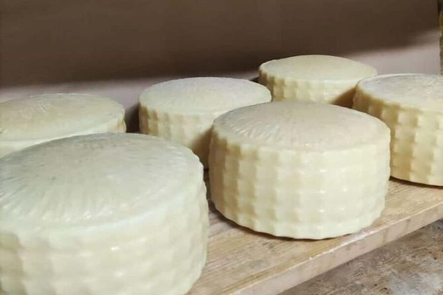 From Chania: Olive Oil, Wine, Cheese & Honey Tasting Tour - Why this $49 food tour is good value