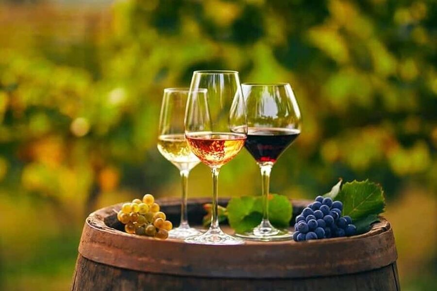 From Chania: Olive Oil, Wine, Cheese & Honey Tasting Tour - The Olive Tree of Vouves gives the day a memorable start