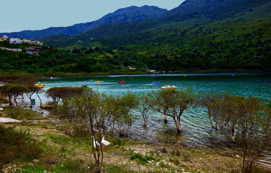 From Chania: Rethymno, Lake Kournas & Olive Oil Tasting Tour - Who will get the most from this outing?