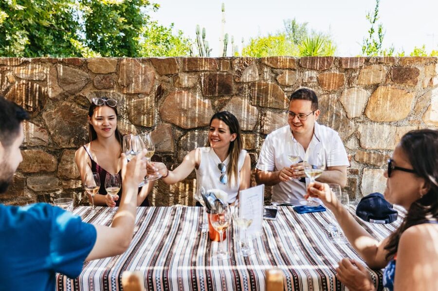 From Chania: Wine and Olive Oil Tasting Tour with Snacks - The ancient olive tree in the village