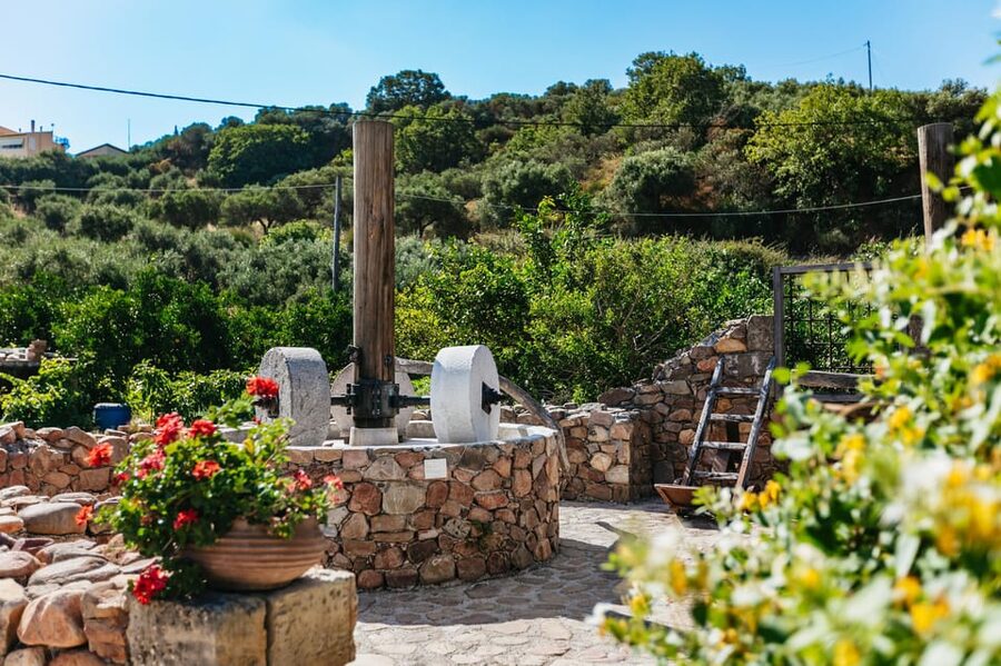 From Chania: Wine and Olive Oil Tasting Tour with Snacks - The second winery and the fuller tasting