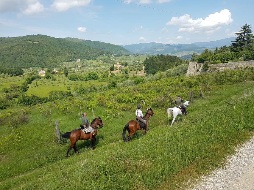 From Florence: Horseback Ride and Olive Oil and food tasting - FAQ