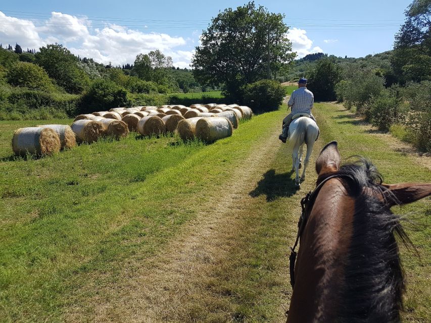 From Florence: Horseback Ride and Olive Oil and food tasting - One Hour on Horseback Through Vineyards and Olive Groves