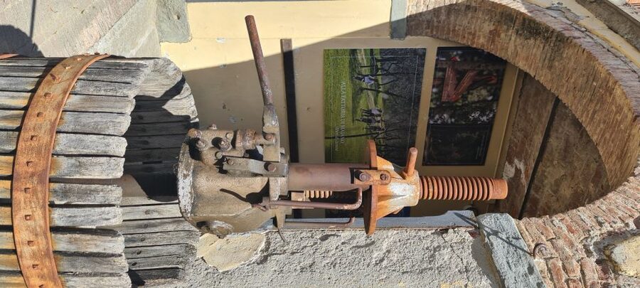 From Florence: Horseback Ride and Olive Oil and food tasting - What $377 Means in Practical Terms
