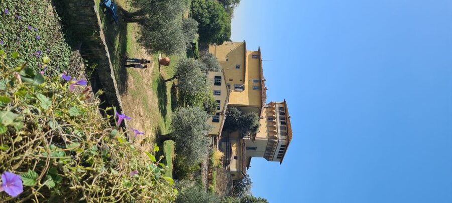 From Florence: Horseback Ride and Olive Oil and food tasting - Who Will Enjoy This Most