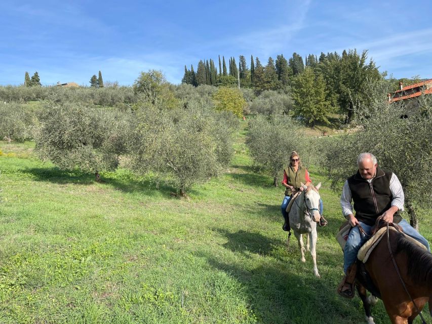 From Florence: Horseback Ride and Olive Oil and food tasting - Practical Advice Before You Book