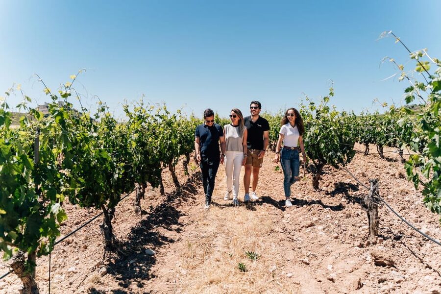 From Málaga: Ronda, Wine & Olive Oil Tasting Small Group - The one-hour walk through Ronda