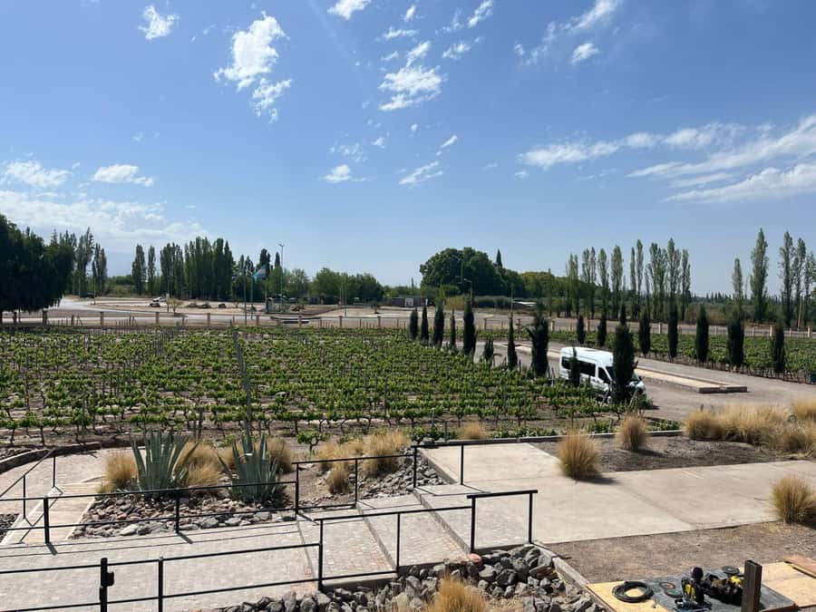 From Mendoza: 3 Wineries, Olive Oil Factory Tour & Tasting - First impressions at the artisanal winery