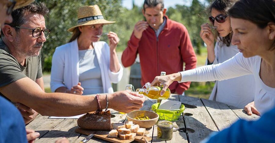 From Montpellier: Wine and Olive Tour - The short ride to a traditional Languedoc winery