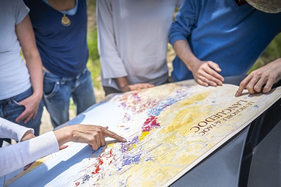 From Montpellier: Wine and Olive Tour - Practical details that affect your morning