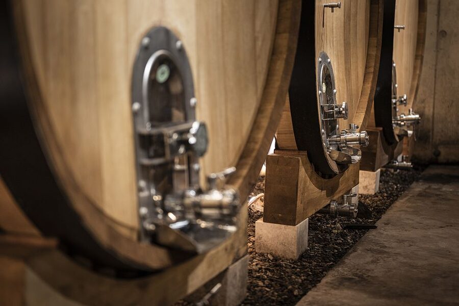 From Montpellier: Wine and Olive Tour - Should you book this Montpellier wine and olive tour?