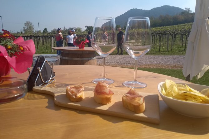 From Padua: Olive Oil & Wine in the Euganean Hills - Wine at Cantina Colli Euganei