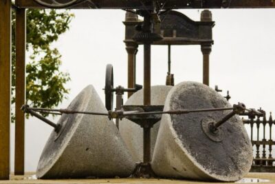 Olive Oil Farm Tour