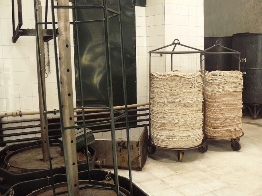 From Seville: Olive Oil Farm Tour - What makes the guides important